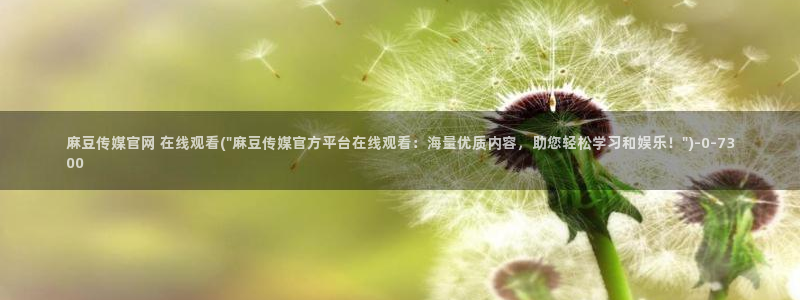 麻豆视频 资源：麻豆传媒官网 在线观看(\