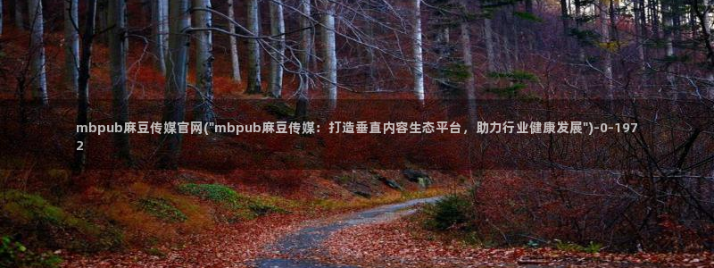 麻豆最新导航：mbpub麻豆传媒官网(\
