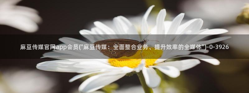 麻豆更新：麻豆传媒官网app会员(\
