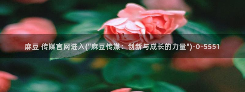 麻豆视频 推荐入口：麻豆 传媒官网进入(\