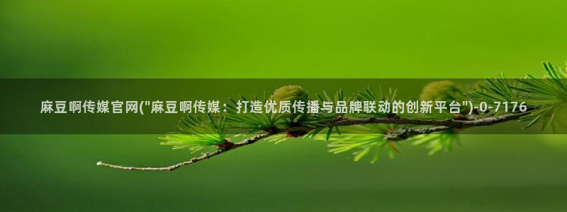 麻豆视频 最新入口：麻豆啊传媒官网(\