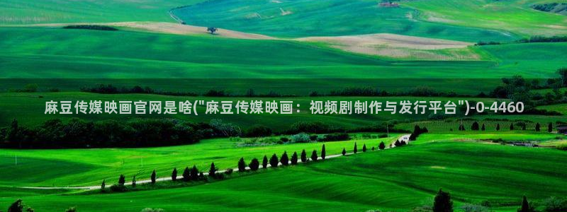 麻豆视频 入口导航：麻豆传媒映画官网是啥(\
