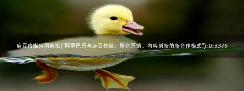 麻豆最新最新