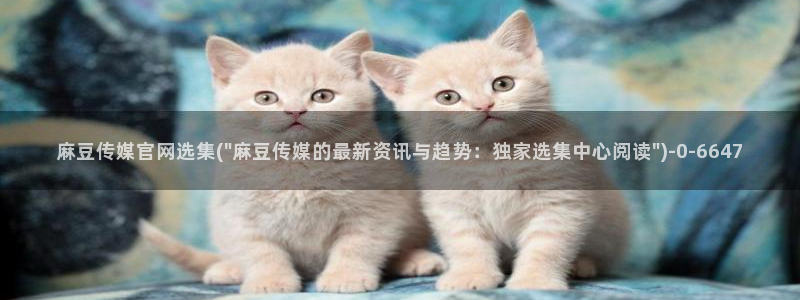 麻豆视频高清整理
