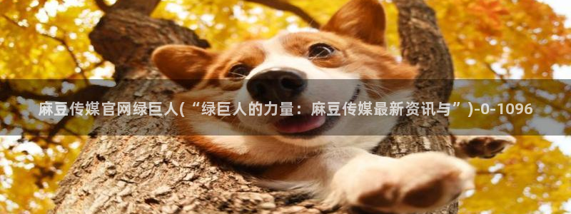 麻豆视频 最新导航