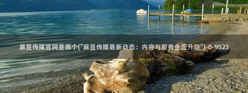 麻豆 官方