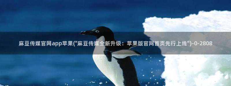 麻豆 高清最新