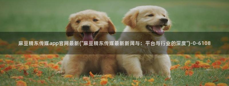 麻豆 入口在线看
