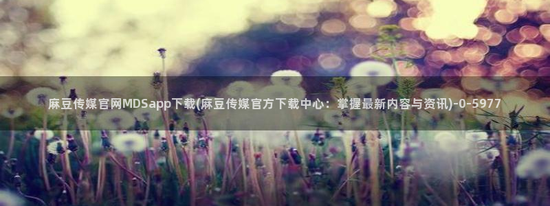麻豆视频 资源页面