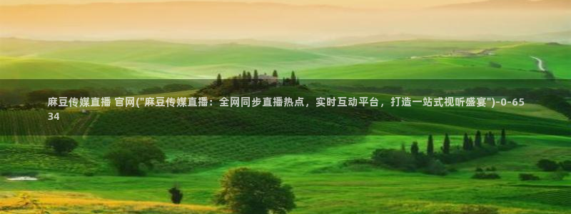 麻豆视频 短片完整版