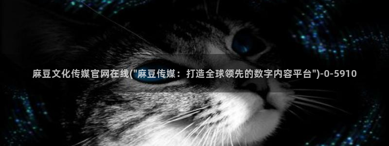 麻豆视频 专区整理