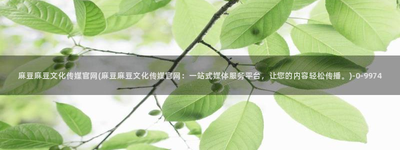 麻豆 最新合集