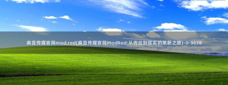 麻豆视频更新下载